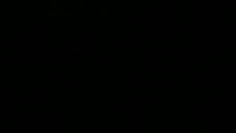 Snapshot of 0815____pet chatting on 1, 12, 2024 Peter online show from 1, 12, 2024