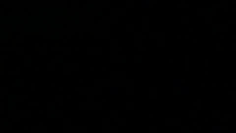 Snapshot of 0815____pet chatting on 27, 12, 2024 Peter online show from 27, 12, 2024