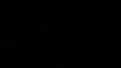 Snapshot of 0815____pet chatting on 16, 9, 2025 Peter online show from 16, 9, 2025