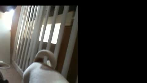 10mm_socket online show from 11, 2, 2026