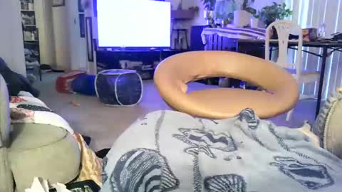 123loonymail online show from 4, 3, 2026