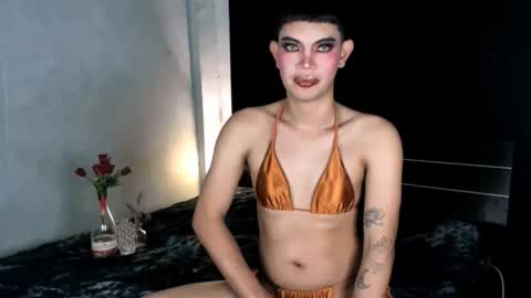 Leren online show from 12, 1, 2025