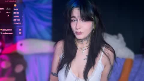 Teya online show from 24, 4, 2026