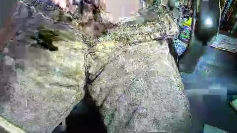 1etabrutahc0 online show from 7, 1, 2026