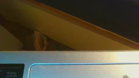 Snapshot of 1lovenaturals chatting on 15, 12, 2024 Jason online show from 15, 12, 2024