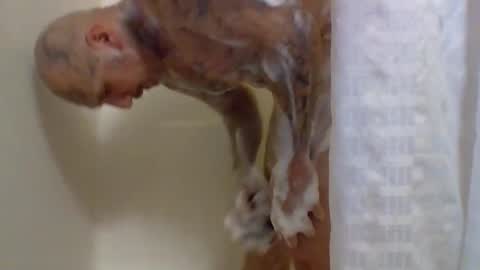 Snapshot of 1nastya8 chatting on 4, 3, 2026 TheShyOne18 online show from 4, 3, 2026