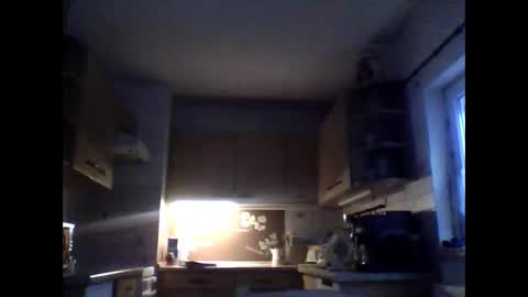 20x5cmgermanlongdong online show from 17, 1, 2026