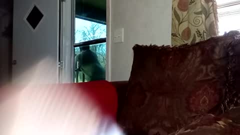 BlacJewels online show from 22, 2, 2026