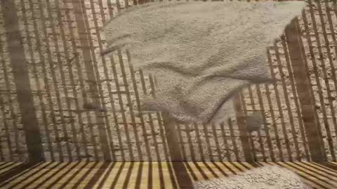 2hairrypigs online show from 31, 1, 2026