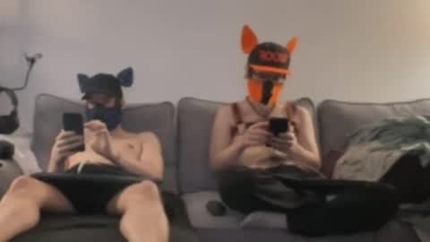 Snapshot of 2pupsinheat chatting on 11, 7, 2026 2pupsinheat online show from 11, 7, 2026