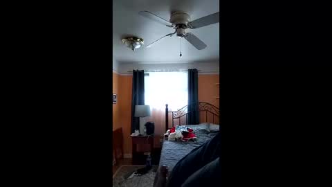 32666damon online show from 14, 12, 2025