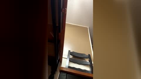 33adidas online show from 9, 1, 2026