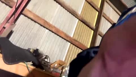 420danny online show from 24, 2, 2025