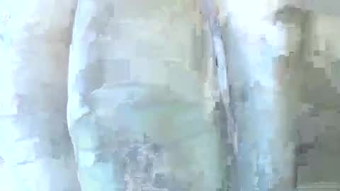 Snapshot of 56funleo chatting on 1, 12, 2025 Daddy online show from 1, 12, 2025