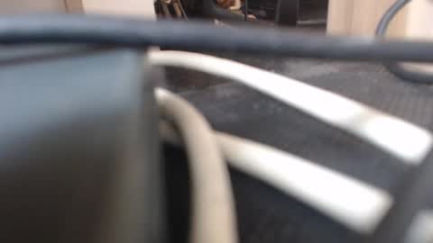 Snapshot of 64293boy chatting on 13, 1, 2026 64293boy online show from 13, 1, 2026