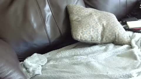 66bear online show from 31, 1, 2025