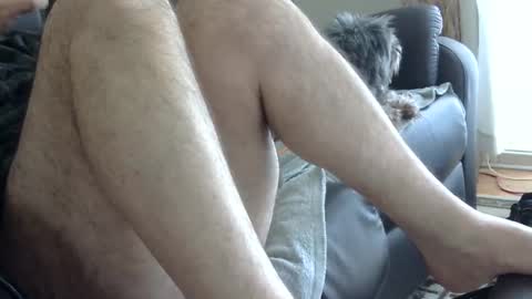 66bear online show from 1, 3, 2025