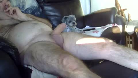 66bear online show from 5, 10, 2025