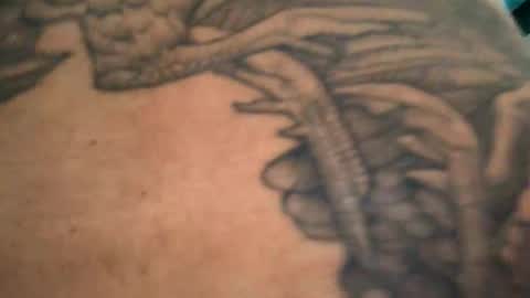 Snapshot of 6990fiko chatting on 3, 12, 2024 6990fiko online show from 3, 12, 2024