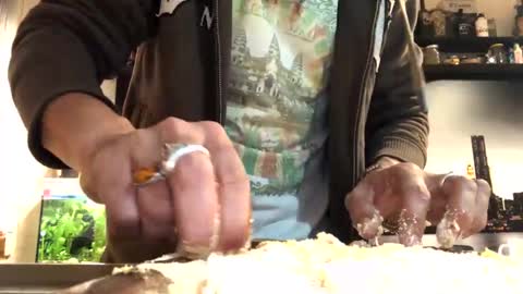 Snapshot of 6990fiko chatting on 1, 2, 2025 6990fiko online show from 1, 2, 2025