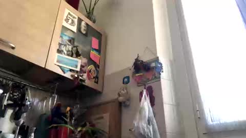 Snapshot of 6990fiko chatting on 4, 3, 2025 6990fiko online show from 4, 3, 2025