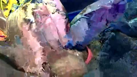 Snapshot of 6990fiko chatting on 27, 10, 2025 6990fiko online show from 27, 10, 2025