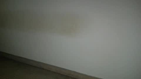 69___pas online show from 6, 11, 2025