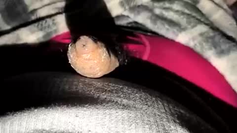 69angel96 online show from 23, 12, 2025