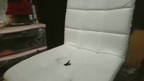 69meowxxx online show from 3, 11, 2025