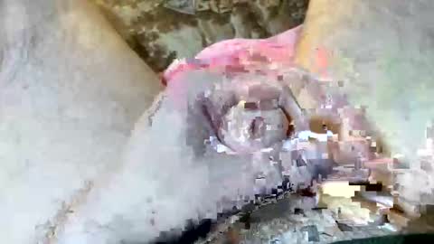 Snapshot of 69rumbler chatting on 6, 11, 2025 69rumbler online show from 6, 11, 2025