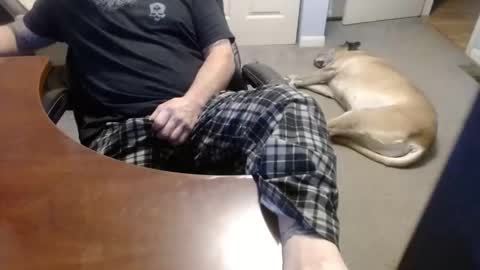 MASTIFF online show from 21, 12, 2025