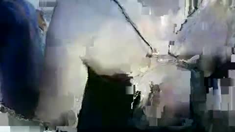 Lilu online show from 12, 1, 2026