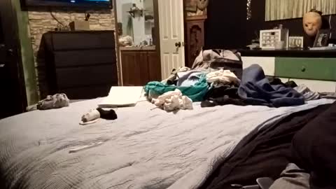 7lairddip online show from 4, 4, 2026