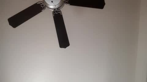 82ragnarok online show from 31, 1, 2025