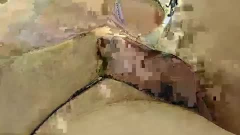 8385 online show from 3, 3, 2025