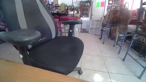 86406stud online show from 28, 10, 2025