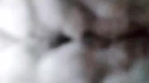 Snapshot of 88piterr88 chatting on 17, 2, 2025 88piterr88 online show from 17, 2, 2025