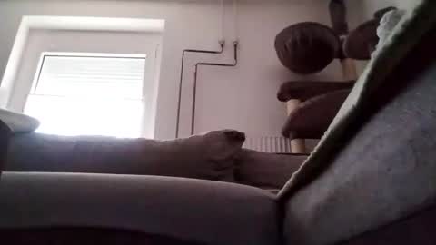 Snapshot of 88piterr88 chatting on 24, 2, 2025 88piterr88 online show from 24, 2, 2025