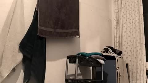 Snapshot of 88piterr88 chatting on 25, 2, 2026 88piterr88 online show from 25, 2, 2026