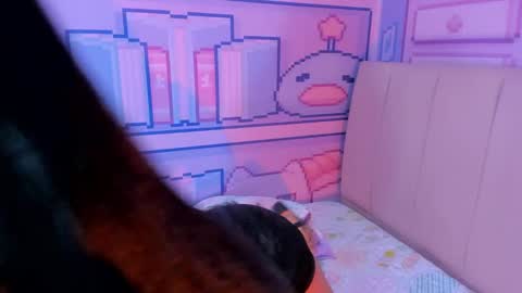 Alice  online show from 28, 12, 2024