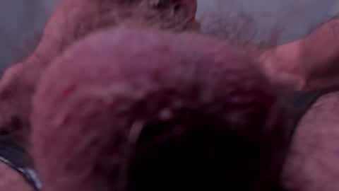 _adamcoper_ online show from 25, 10, 2025