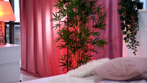 Arielle online show from 28, 12, 2024