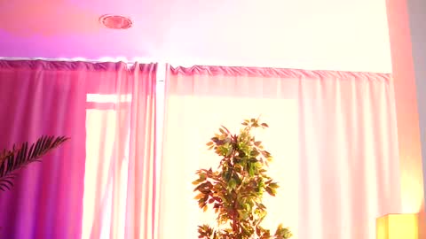 Arielle online show from 14, 2, 2025