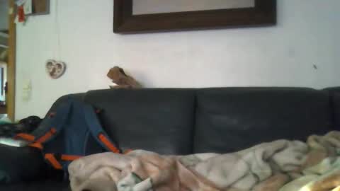 b0rn4porn online show from 27, 4, 2026