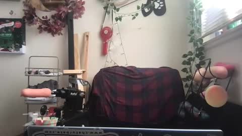 Snapshot of _bandit_b0y chatting on 26, 12, 2024 bandit online show from 26, 12, 2024