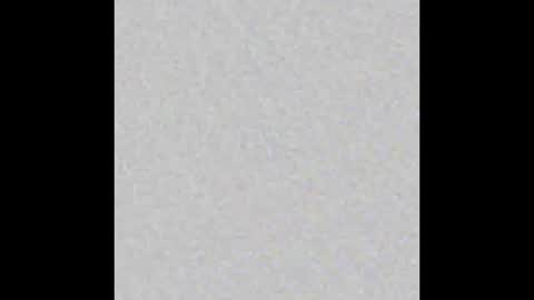 Brenda online show from 16, 10, 2025