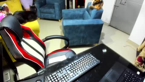 Emma online show from 7, 2, 2025