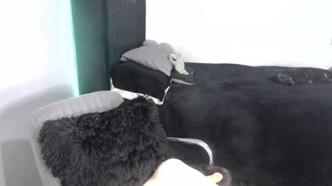 Snapshot of _ergo_proxy chatting on 25, 9, 2025 Proxy online show from 25, 9, 2025