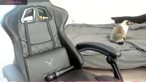 Alis online show from 7, 10, 2025