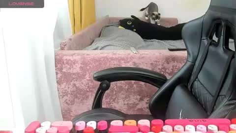 Snapshot of _feralberry__ chatting on 26, 6, 2026 Alis online show from 26, 6, 2026
